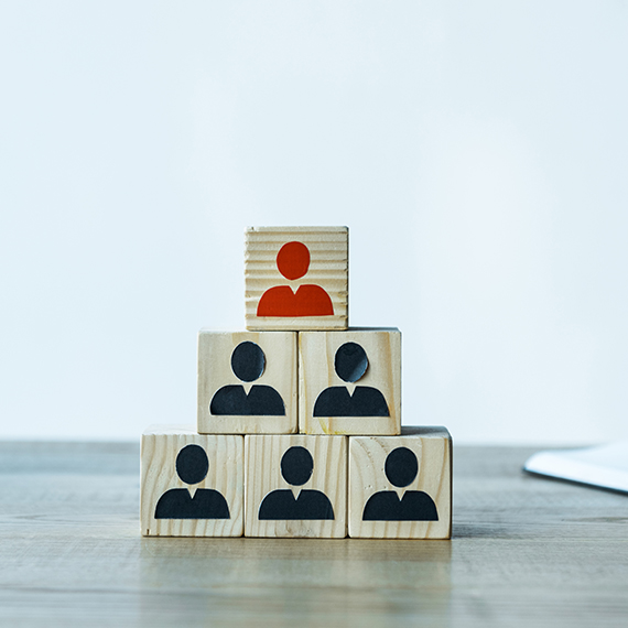 Filyem - Büyükbaş Yemleri