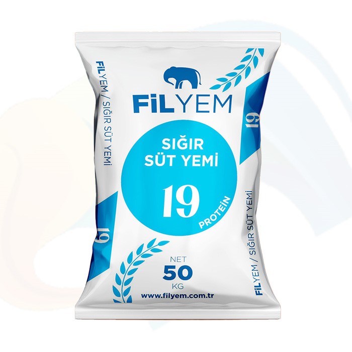Sığır Süt 19